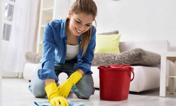 House Cleaning Services